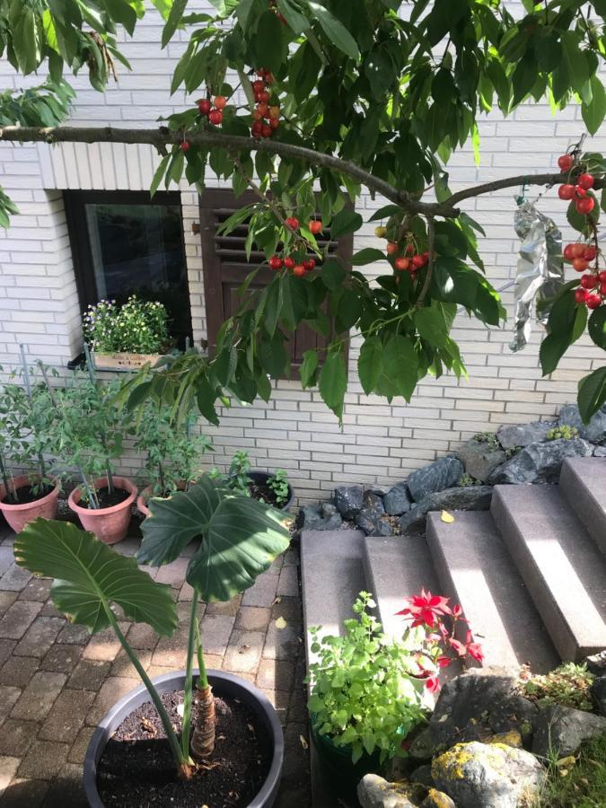 Ferienwohnung Am Weiltalradweg Weinbach Exterior foto